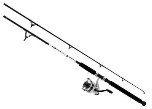 Daiwa D-Wave Saltwater Spinning Combo — 10 ft, 2-Piece Medium